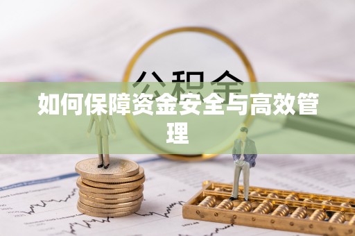 临武如何保障资金安全与高效管理