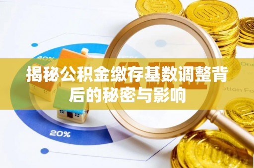临武揭秘公积金缴存基数调整背后的秘密与影响