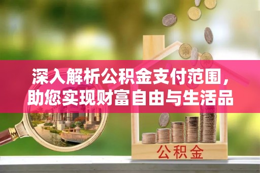 临武深入解析公积金支付范围，助您实现财富自由与生活品质提升