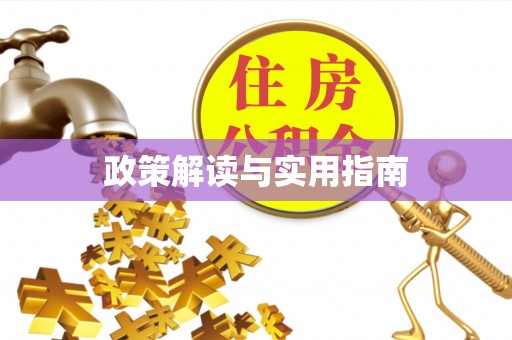 临武政策解读与实用指南