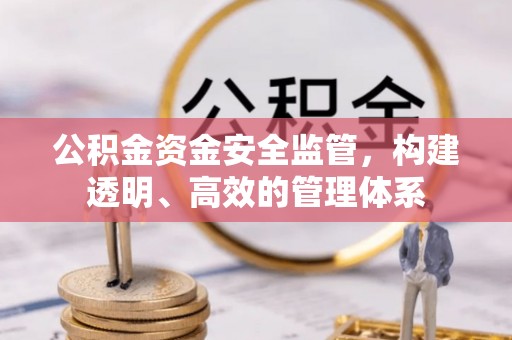 临武公积金资金安全监管，构建透明、高效的管理体系