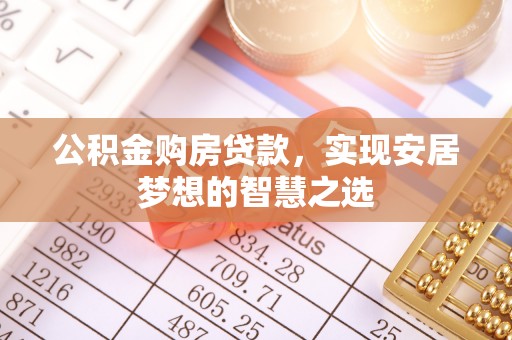 临武公积金购房贷款，实现安居梦想的智慧之选
