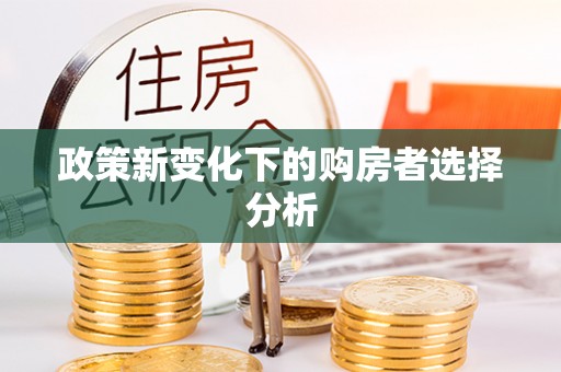 临武政策新变化下的购房者选择分析