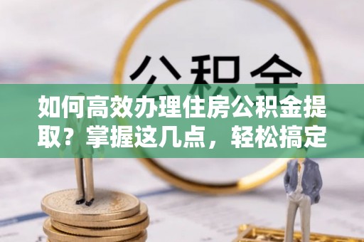 临武如何高效办理住房公积金提取？掌握这几点，轻松搞定！