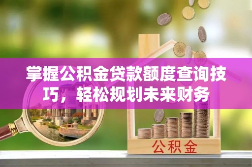 临武掌握公积金贷款额度查询技巧，轻松规划未来财务