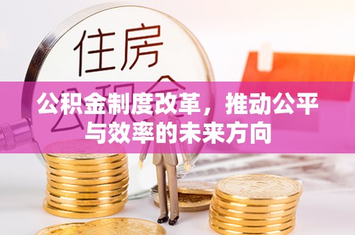 临武公积金制度改革，推动公平与效率的未来方向