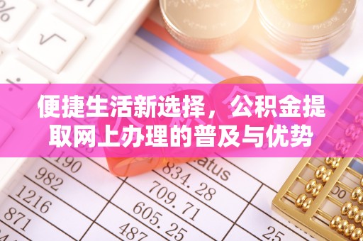 临武便捷生活新选择，公积金提取网上办理的普及与优势