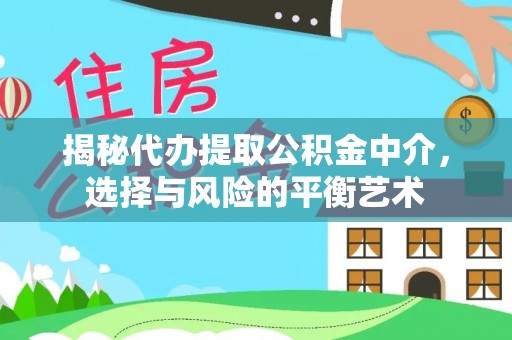 临武揭秘代办提取公积金中介，选择与风险的平衡艺术