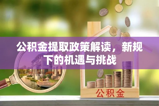 临武公积金提取政策解读，新规下的机遇与挑战