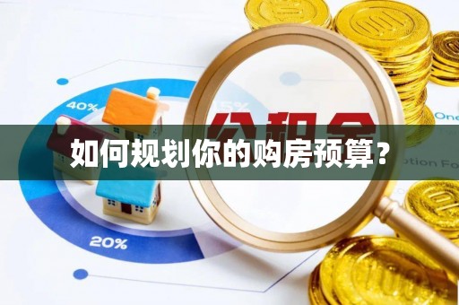 临武如何规划你的购房预算？