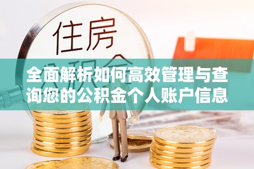临武全面解析如何高效管理与查询您的公积金个人账户信息