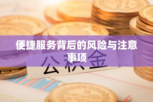 临武便捷服务背后的风险与注意事项