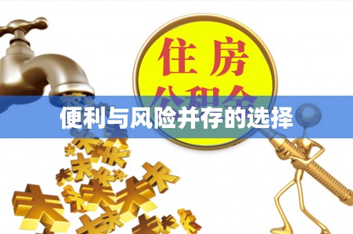 临武便利与风险并存的选择